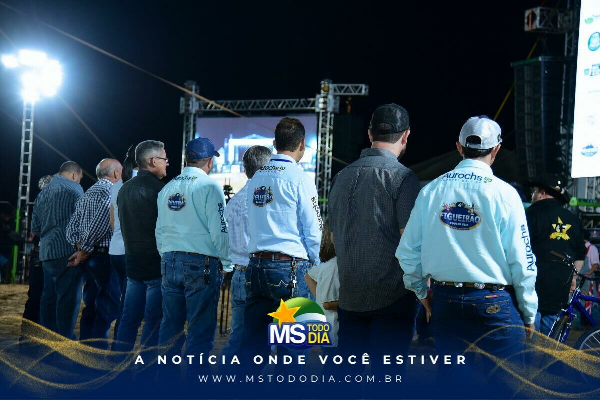 Imagem da Galeria